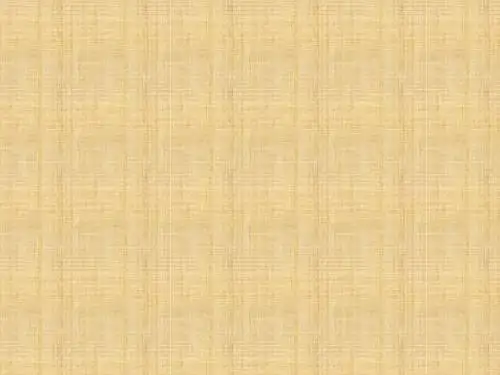 四年级音乐下册《蜗牛与黄鹂鸟蜗牛与黄鹂鸟ppt