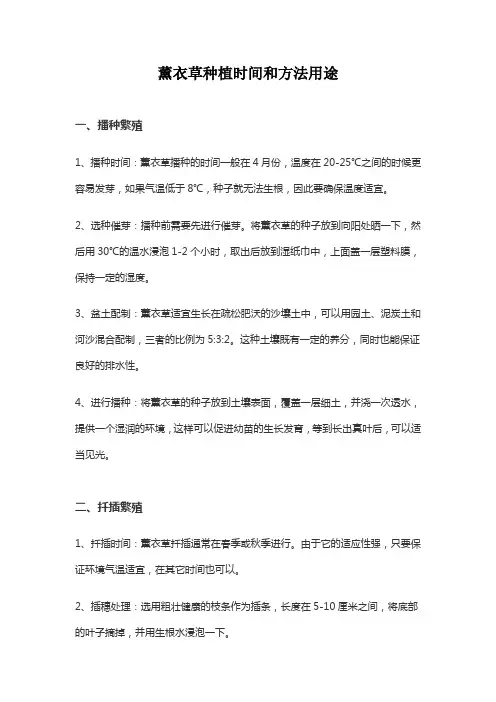 薰衣草种植时间和方法用途