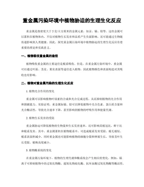 重金属污染环境中植物胁迫的生理生化反应