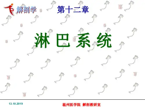 《淋巴系统》ppt课件共47页文档