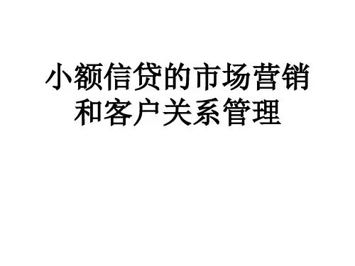 小额信贷的市场营销与客户关系管理 