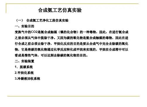 合成氨工艺仿真实验