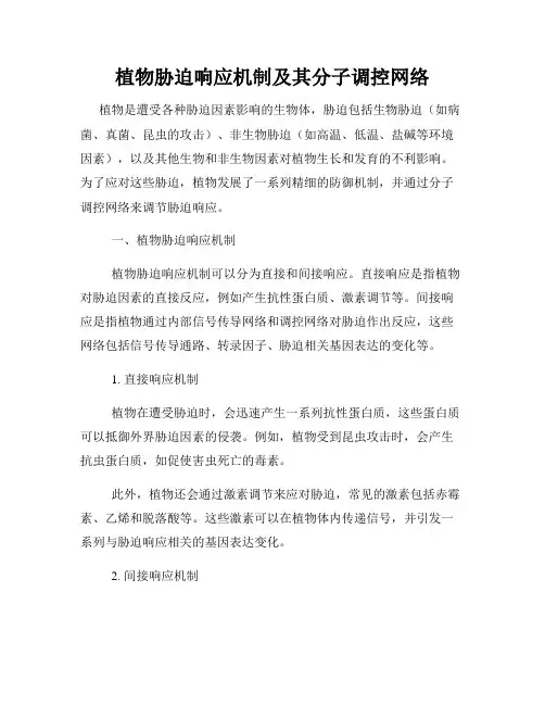 植物胁迫响应机制及其分子调控网络