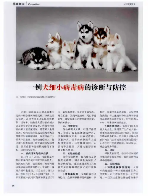 一例犬细小病毒病的诊断与防控