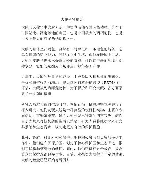 大鲵研究报告
