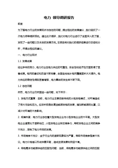电力 领导调研报告