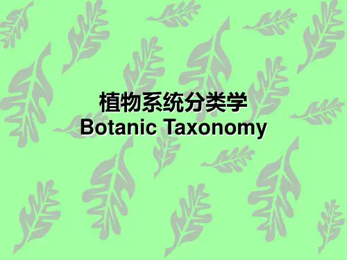 植物系统分类学PPT课件