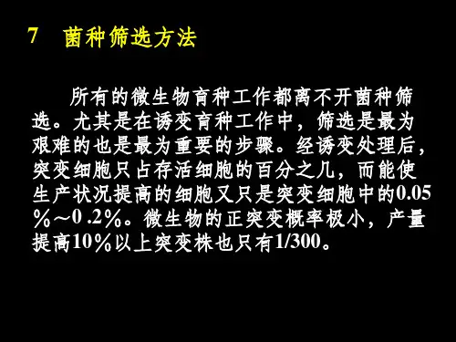 《菌种选育》PPT课件
