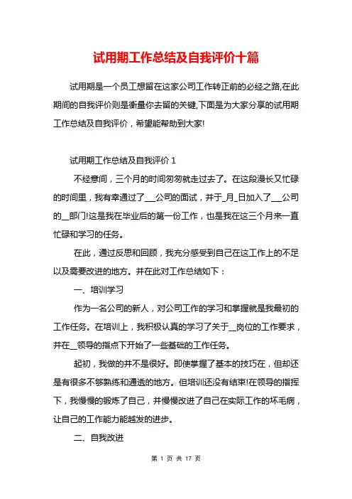 试用期工作总结及自我评价十篇