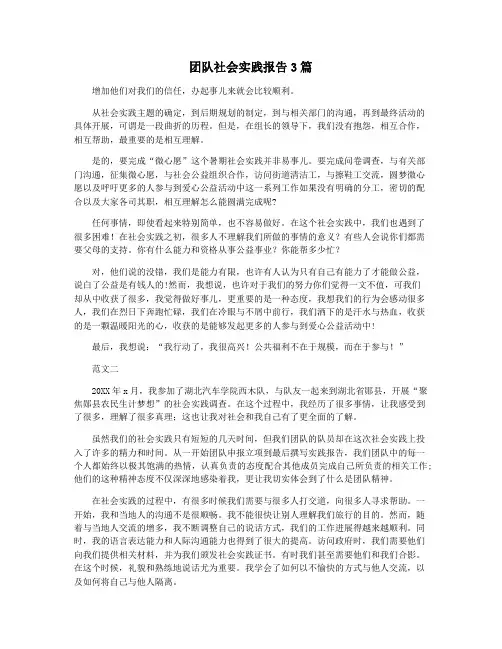 团队社会实践报告3篇