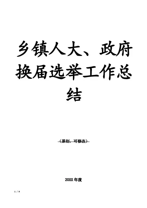 乡镇人大、政府换届选举工作总结 2