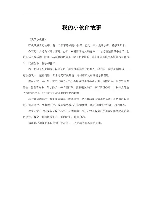 我的小伙伴故事