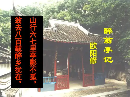 初中语文醉翁亭记复习课件