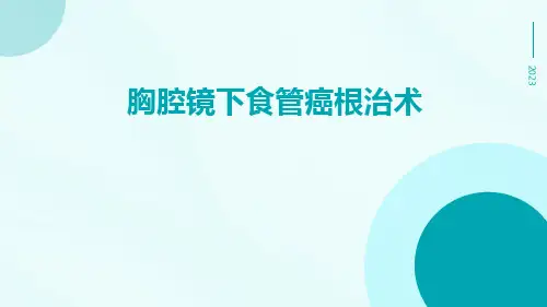 胸腔镜下食管癌根治术