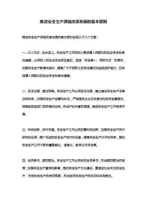 推进安全生产领域改革发展的基本原则
