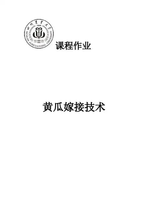 黄瓜嫁接技术