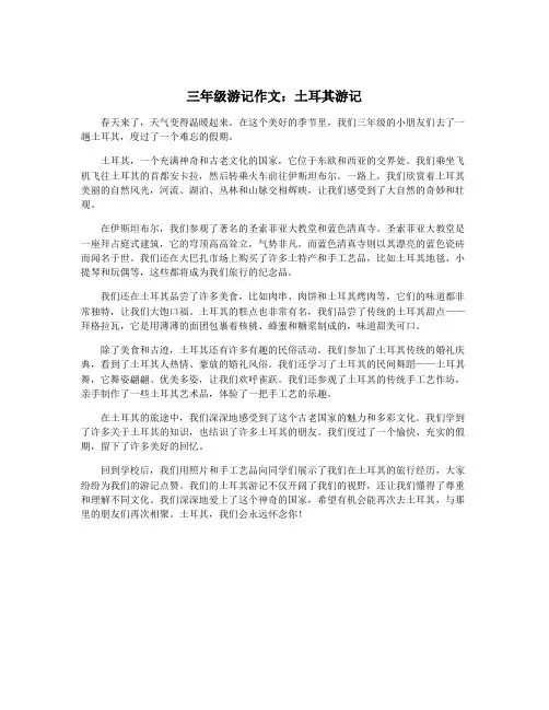 三年级游记作文：土耳其游记
