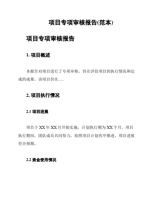项目专项审核报告(范本)