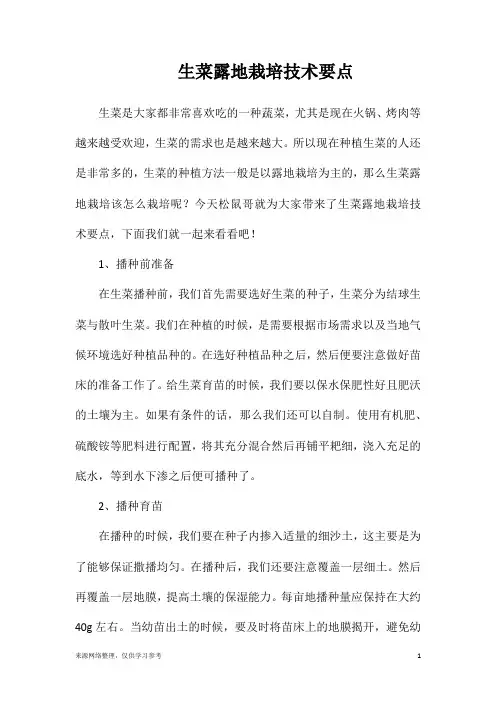 生菜露地栽培技术要点