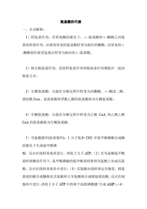 氨基酸的代谢练习题