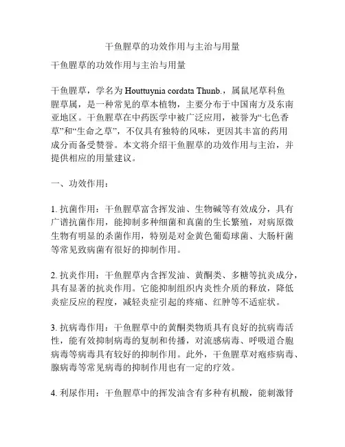 干鱼腥草的功效作用与主治与用量