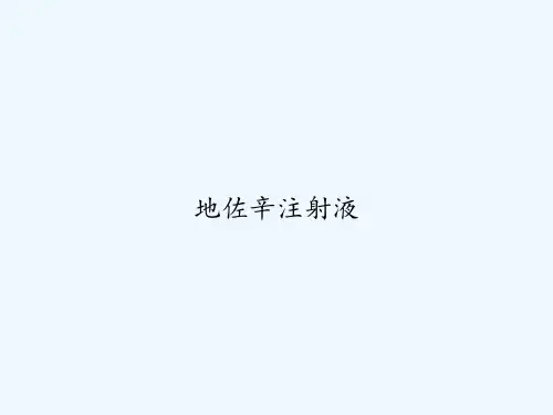 地佐辛注射液 PPT