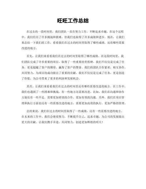 旺旺工作总结