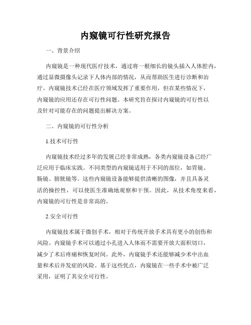 内窥镜可行性研究报告