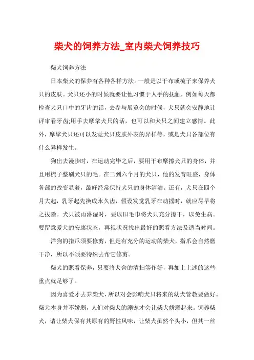 柴犬的饲养方法_室内柴犬饲养技巧