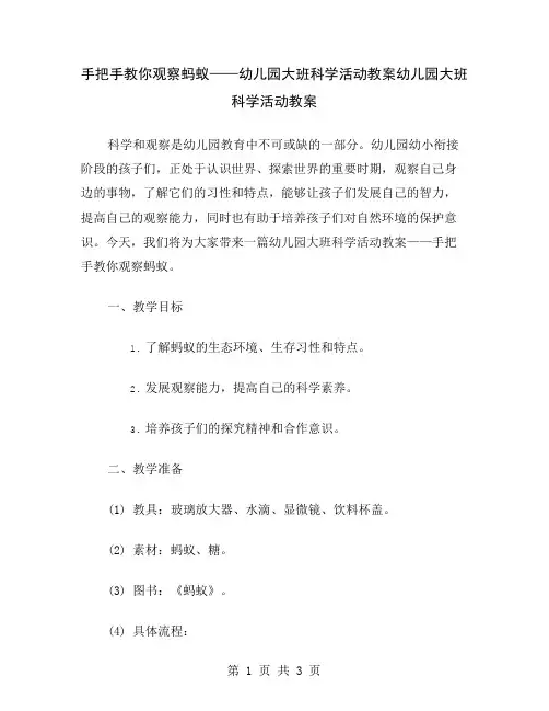 手把手教你观察蚂蚁——幼儿园大班科学活动教案