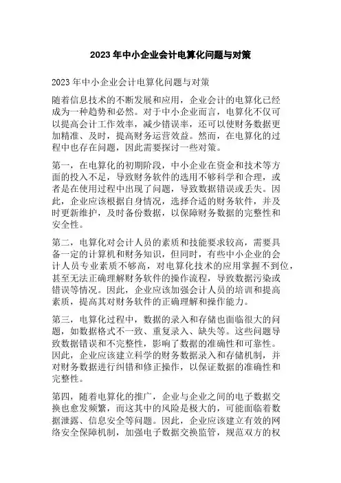2023年中小企业会计电算化问题与对策