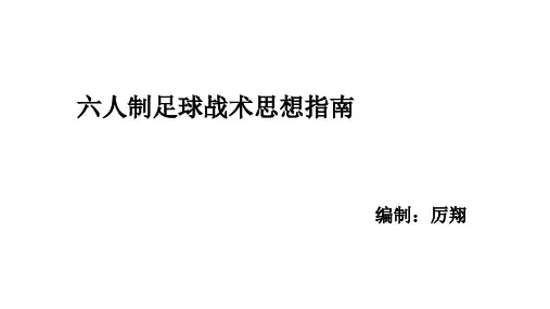 六人制足球战术思想指南V 