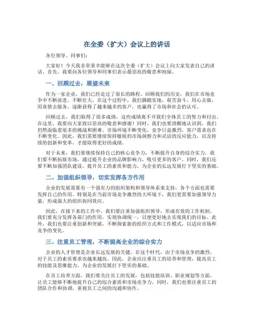 在全委(扩大)会议上的讲话