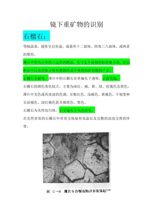 总结(镜下重矿物的识别)