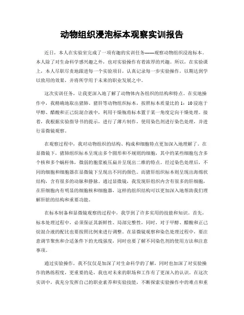 动物组织浸泡标本观察实训报告