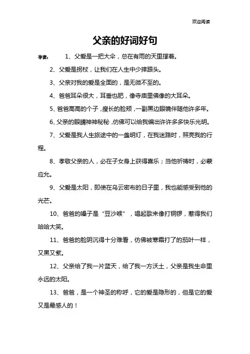 父亲的好词好句
