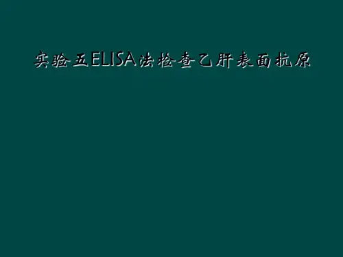 实验五ELISA法检查乙肝表面抗原