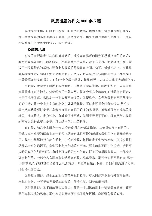 风景话题的作文800字5篇