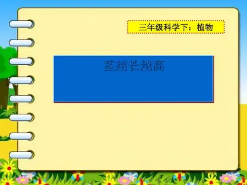 《茎越长越高》植物的生长变化PPT课件(上课用)4