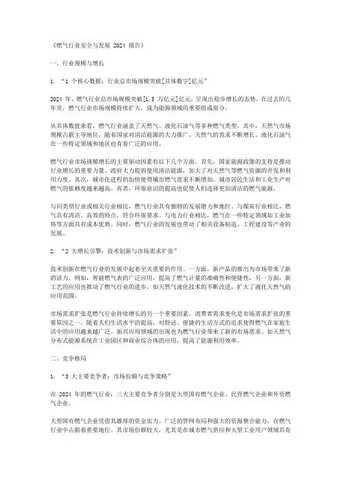 燃气行业安全与发展 2024 报告