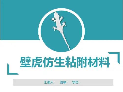 壁虎仿生材料