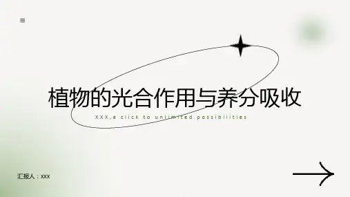 植物的光合作用与养分吸收