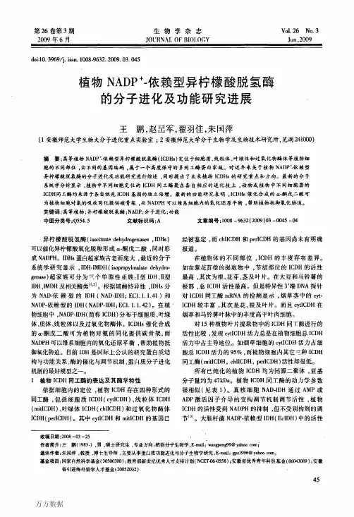 植物NADP+ -依赖型异柠檬酸脱氢酶的分子进化及功能研究进展