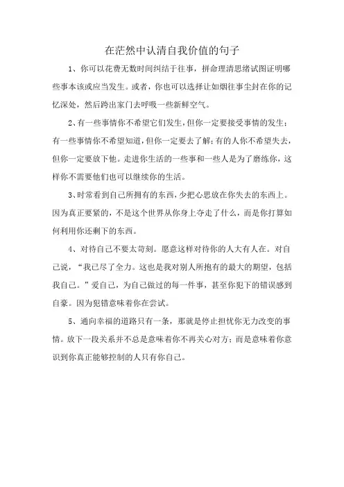 在茫然中认清自我价值的句子