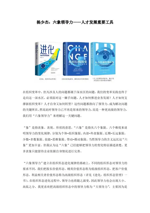 杨少杰：六象领导力——人才发展重要工具