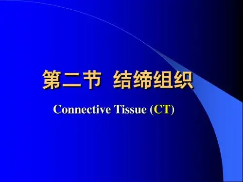 结缔组织2