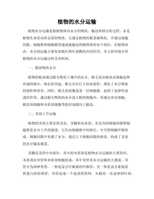 植物的水分运输