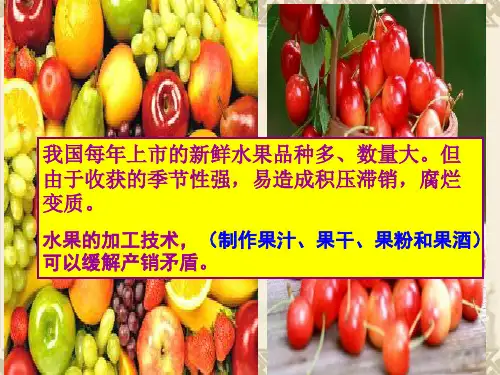 人教版高中生物选修一专题四课题1果胶酶在果汁生产中的作用(22张PPT)