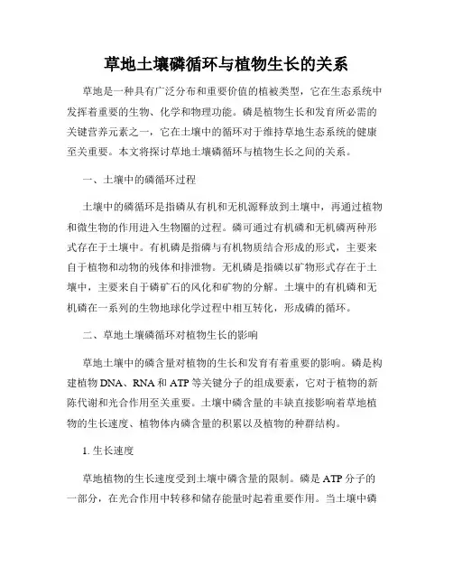 草地土壤磷循环与植物生长的关系