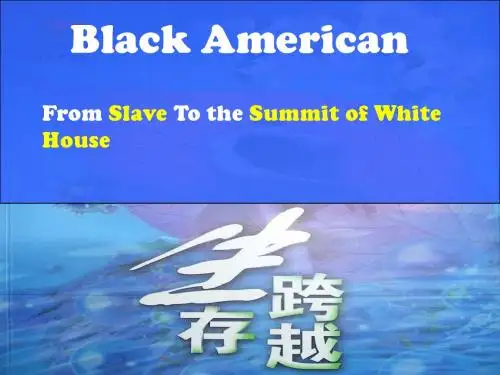 美国黑人史